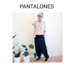pantalones web.jpg